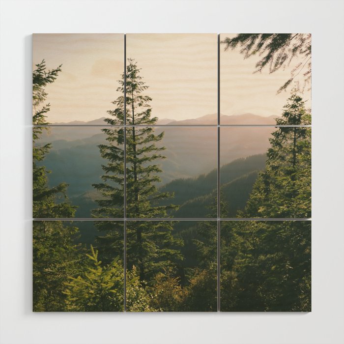 Forest IV Wood Wall Art Gallery Image 3