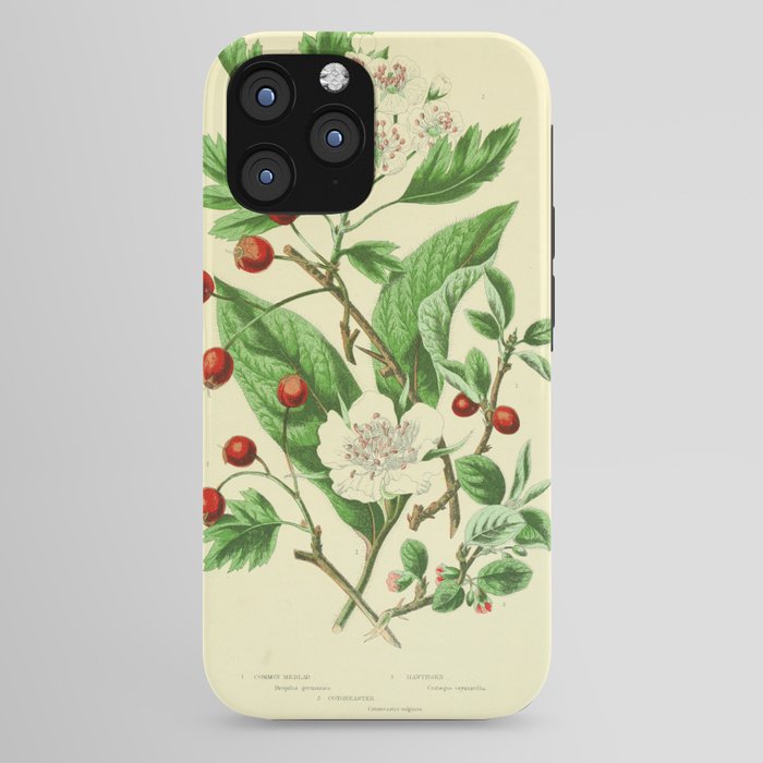 Hawthorn by Anne Pratt, 1800s (benefitting The Nature Conservancy) iPhone Case Gallery Image 44