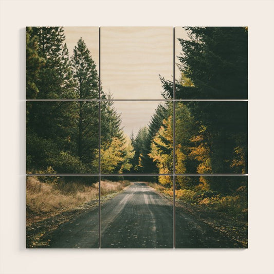 Autumn Drive Wood Wall Art Gallery Image 2
