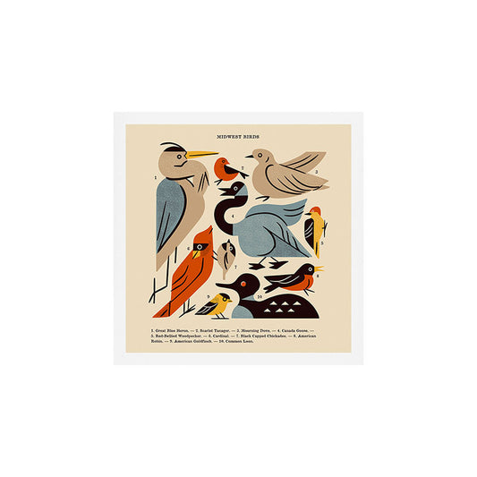 Midwest Birds Guide Art Print Gallery Image 2