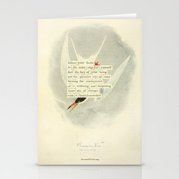 Bird Divinations: Common Tern (about: almanacofbirds.org) Stationery Card Gallery Image 2