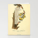Bird Divinations: Golden-Winged Woodpecker (about: almanacofbirds.org) Stationery Card Gallery Image 1