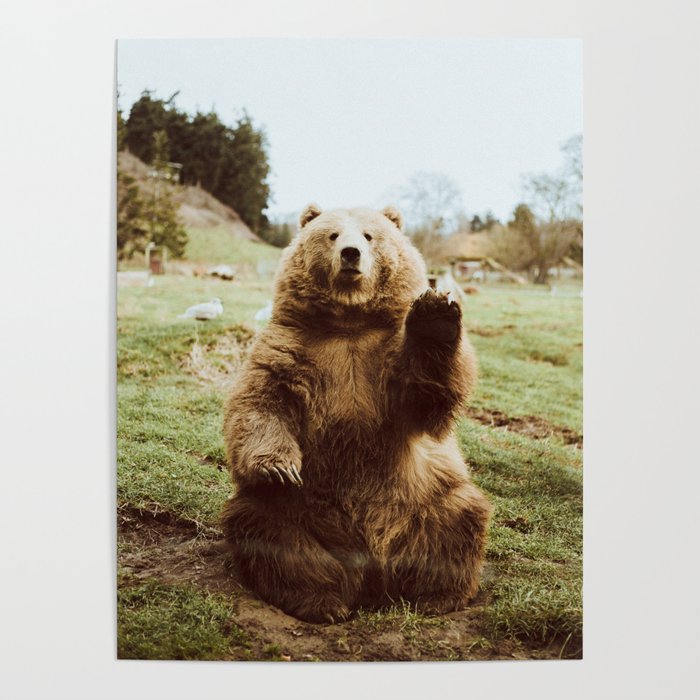 Hi Bear Poster Gallery Image 4