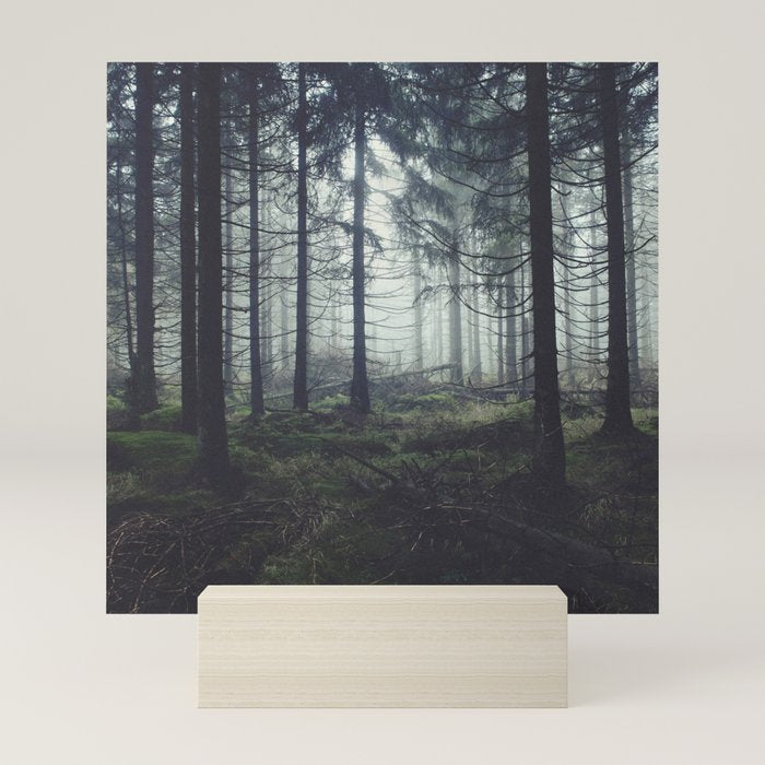 Through The Trees Mini Art Print Gallery Image 5
