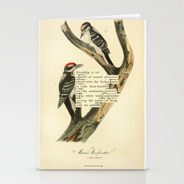 Bird Divinations: Maria's Woodpecker (about: almanacofbirds.org) Stationery Card Gallery Image 1