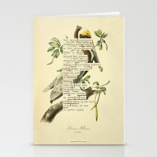 Bird Divinations: Brown Pelican (about: almanacofbirds.org) Stationery Card Gallery Image 1