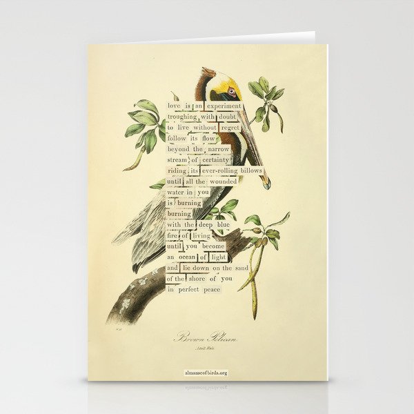 Bird Divinations: Brown Pelican (about: almanacofbirds.org) Stationery Card Gallery Image 2