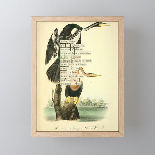 Bird Divinations: Snake Bird (about: almanacofbirds.org) Mini Art Print Gallery Image 1