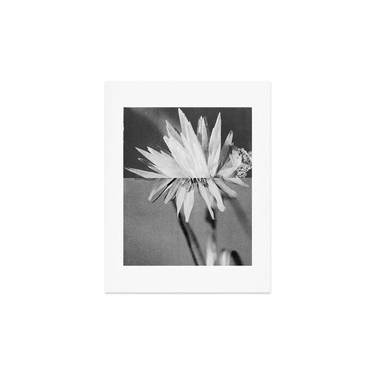 Paired Frames - Flower Art Print Gallery Image 2
