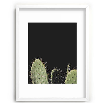 Cactus Framed Art Print Gallery Image 78