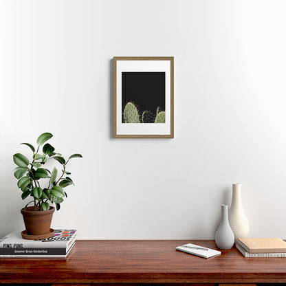 Cactus Framed Art Print Gallery Image 10