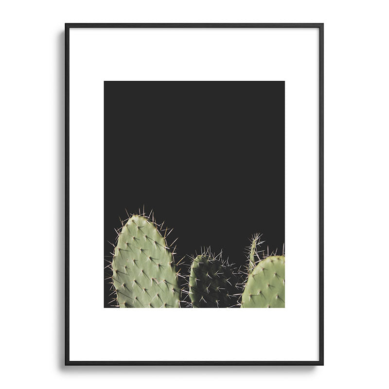 Cactus Framed Art Print Gallery Image 85