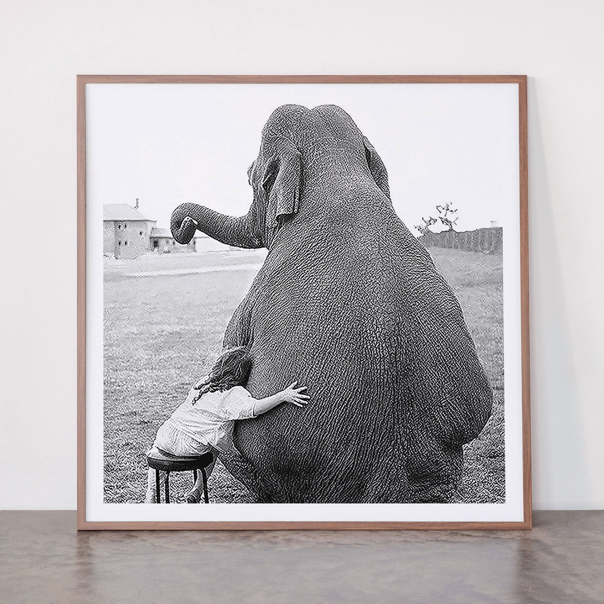 Odd Best Friends, Sweet Little Girl hugging elephant black and white photograph Framed Art Print Gallery Image 21