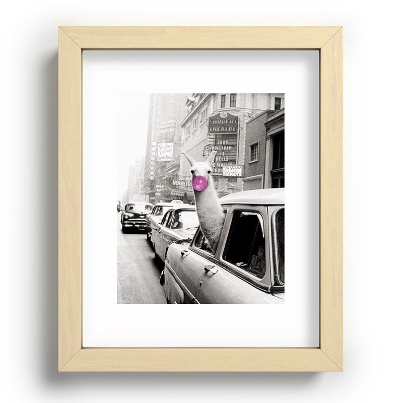 Perfect Pink Bubble Gum Llama taking a New York Taxi black and white photograph Framed Art Print Gallery Image 96