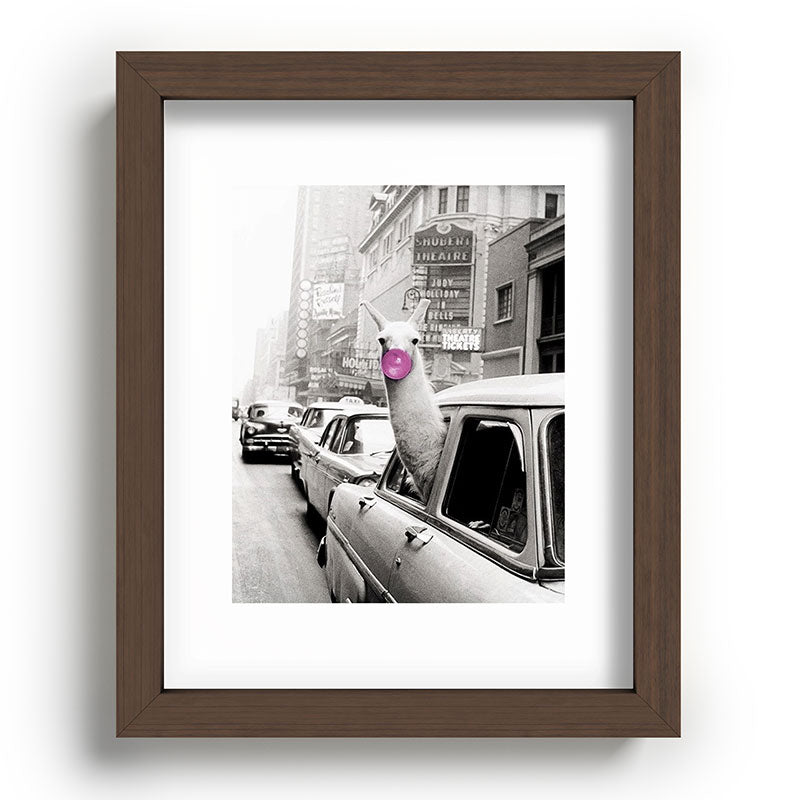 Perfect Pink Bubble Gum Llama taking a New York Taxi black and white photograph Framed Art Print Gallery Image 88