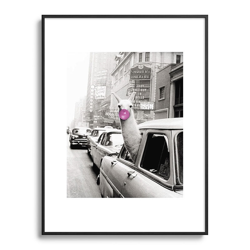 Perfect Pink Bubble Gum Llama taking a New York Taxi black and white photograph Framed Art Print Gallery Image 116