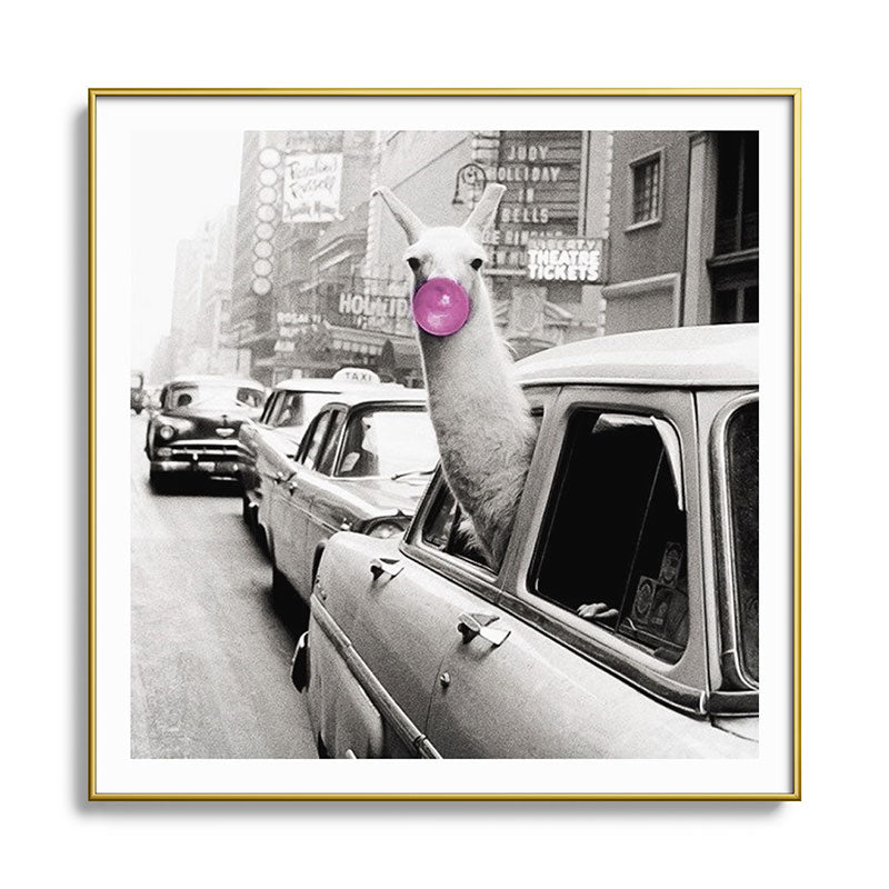 Perfect Pink Bubble Gum Llama taking a New York Taxi black and white photograph Framed Art Print Gallery Image 136