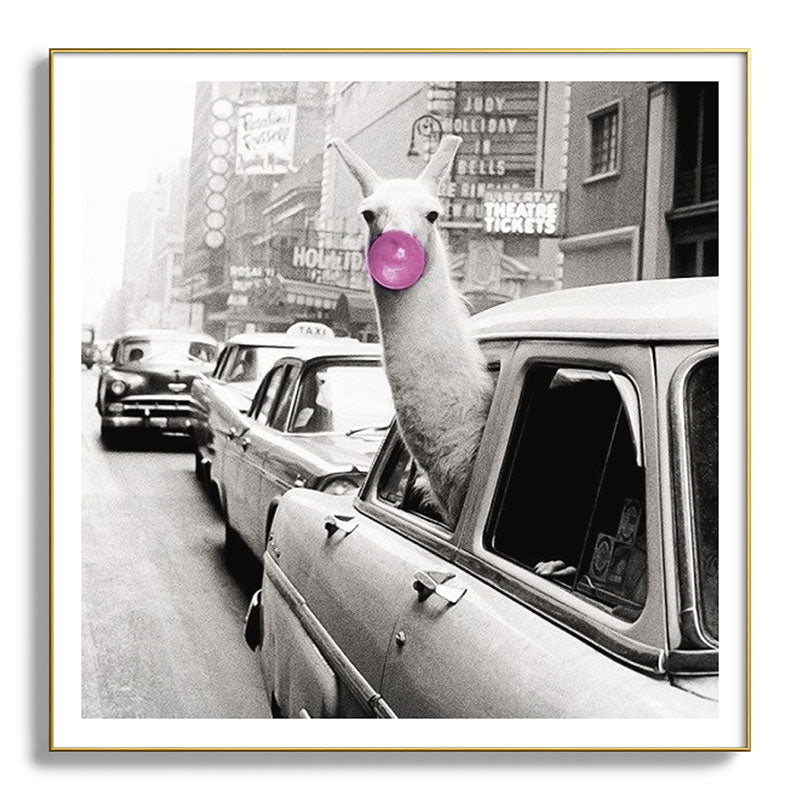 Perfect Pink Bubble Gum Llama taking a New York Taxi black and white photograph Framed Art Print Gallery Image 139