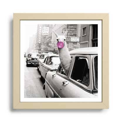 Perfect Pink Bubble Gum Llama taking a New York Taxi black and white photograph Framed Art Print Gallery Image 24