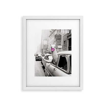 Perfect Pink Bubble Gum Llama taking a New York Taxi black and white photograph Framed Art Print Gallery Image 30