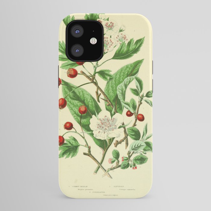 Hawthorn by Anne Pratt, 1800s (benefitting The Nature Conservancy) iPhone Case Gallery Image 41