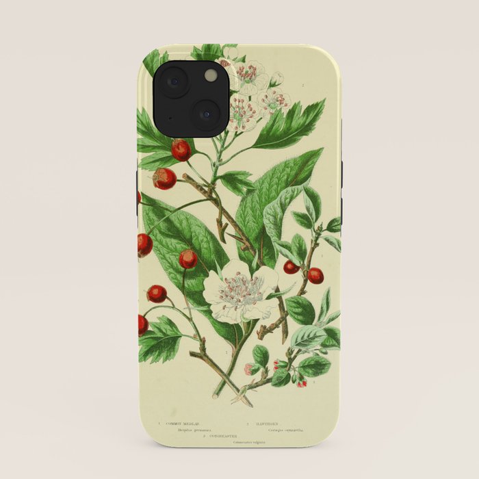 Hawthorn by Anne Pratt, 1800s (benefitting The Nature Conservancy) iPhone Case Gallery Image 37