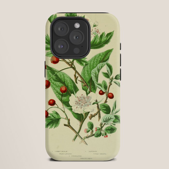 Hawthorn by Anne Pratt, 1800s (benefitting The Nature Conservancy) iPhone Case Gallery Image 11