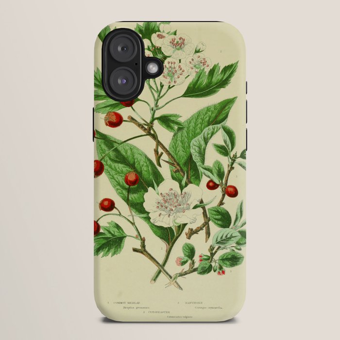 Hawthorn by Anne Pratt, 1800s (benefitting The Nature Conservancy) iPhone Case Gallery Image 10