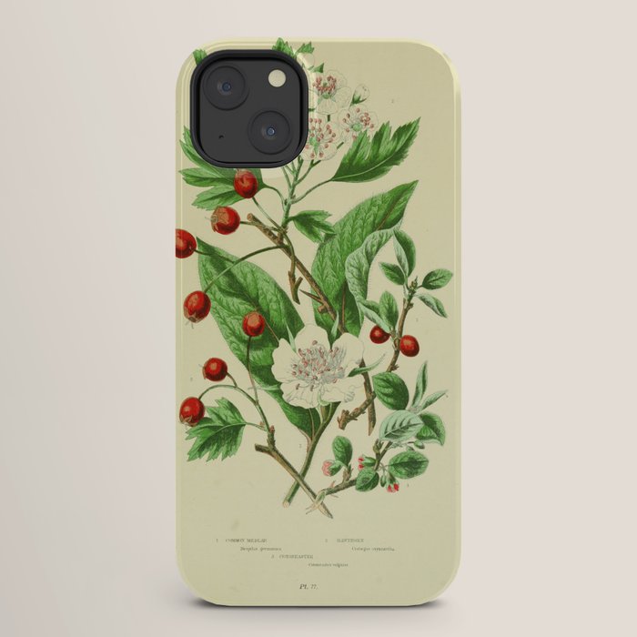 Hawthorn by Anne Pratt, 1800s (benefitting The Nature Conservancy) iPhone Case Gallery Image 26