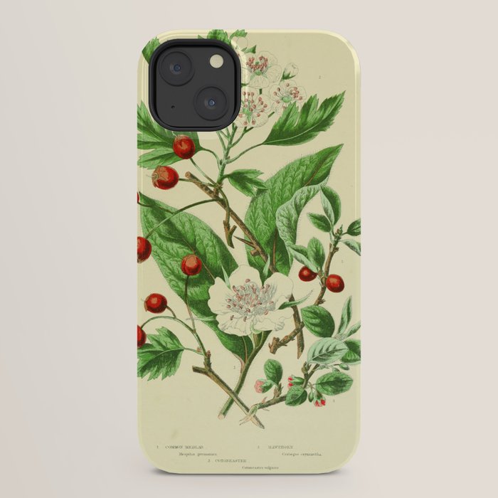 Hawthorn by Anne Pratt, 1800s (benefitting The Nature Conservancy) iPhone Case Gallery Image 22