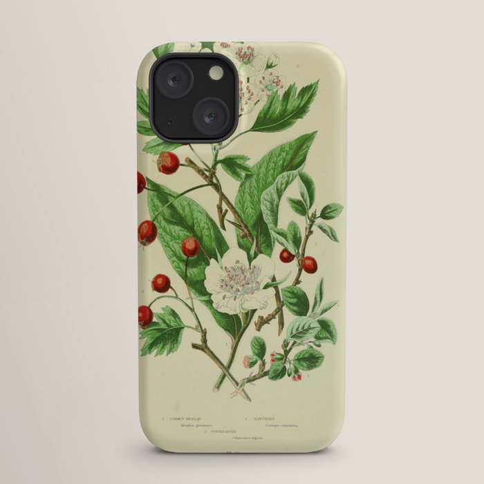 Hawthorn by Anne Pratt, 1800s (benefitting The Nature Conservancy) iPhone Case Gallery Image 17