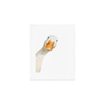 Sneaky White Duck Art Print Gallery Image 1