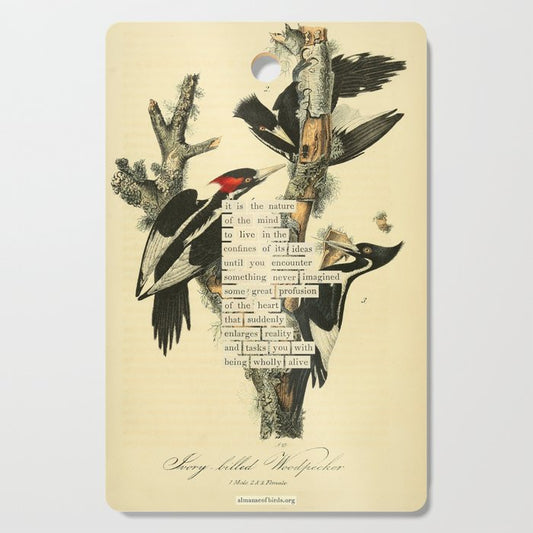 Bird Divinations: Ivory-Billed Woodpecker (about: almanacofbirds.org) Cutting Board Gallery Image 1