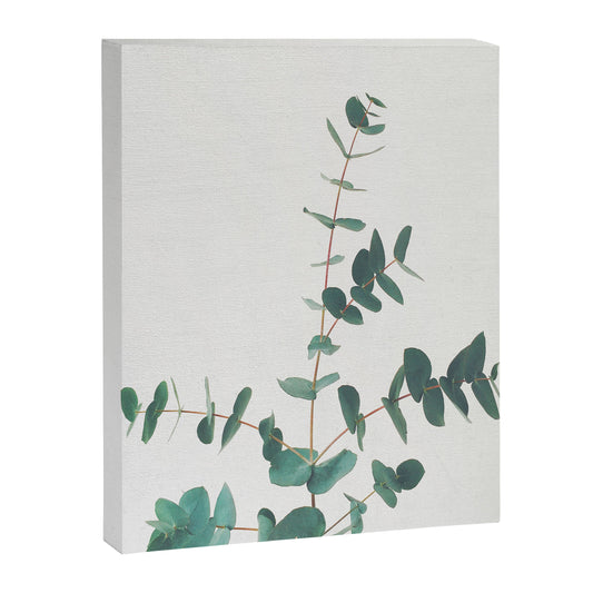 Eucalyptus Canvas Print Gallery Image 1