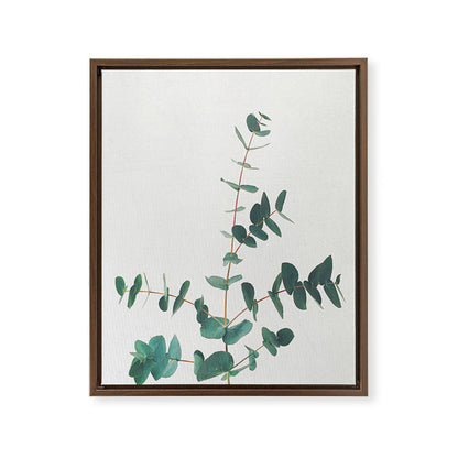 Eucalyptus Framed Canvas Print Gallery Image 10