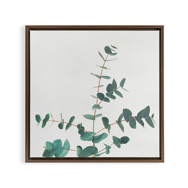 Eucalyptus Framed Canvas Print Gallery Image 18