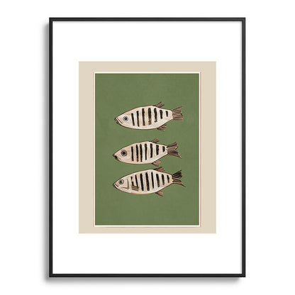 Abstract Fish Study II Framed Art Print Gallery Image 84