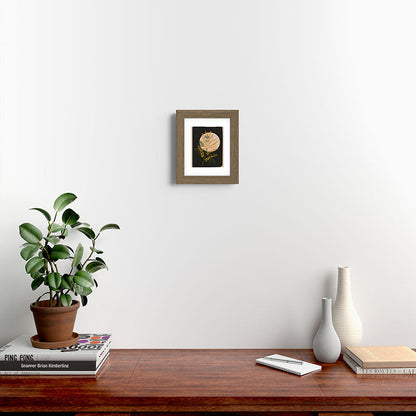 The Mimosa 1 Framed Art Print Gallery Image 36