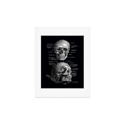 Skull Anatomy - Dark Version Art Print Gallery Image 3