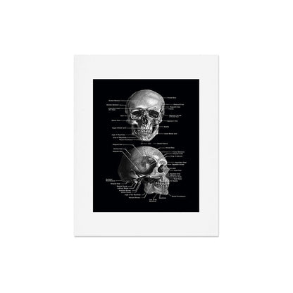 Skull Anatomy - Dark Version Art Print Gallery Image 7