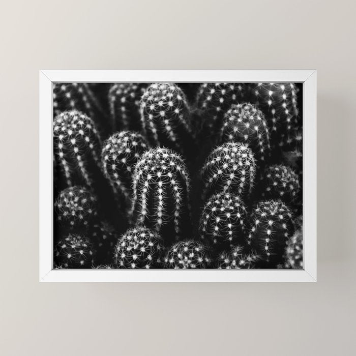 Cactus nature XIII Mini Art Print Gallery Image 4