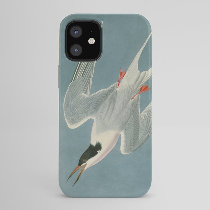 Roseate Tern - John James Audubon Birds of America iPhone Case Gallery Image 42
