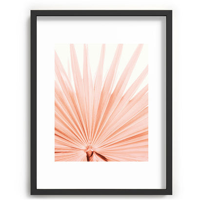 Blush Pink Fan Palm Framed Art Print Gallery Image 60