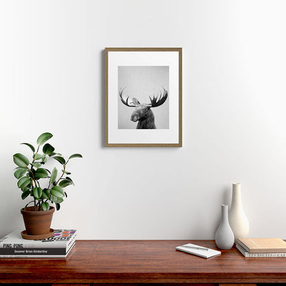 Moose - Black & White Framed Art Print Gallery Image 16