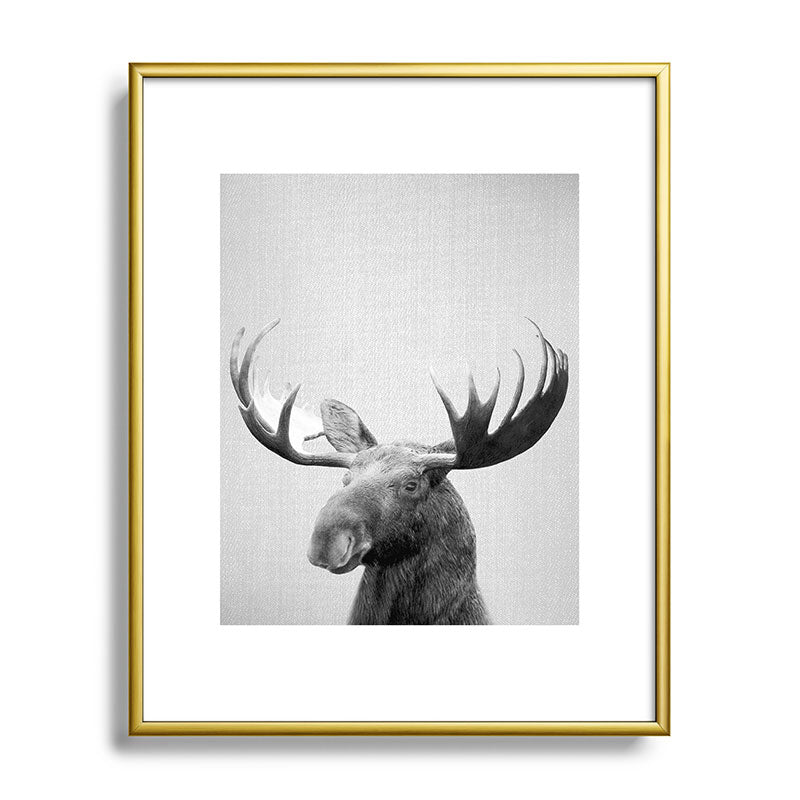 Moose - Black & White Framed Art Print Gallery Image 121