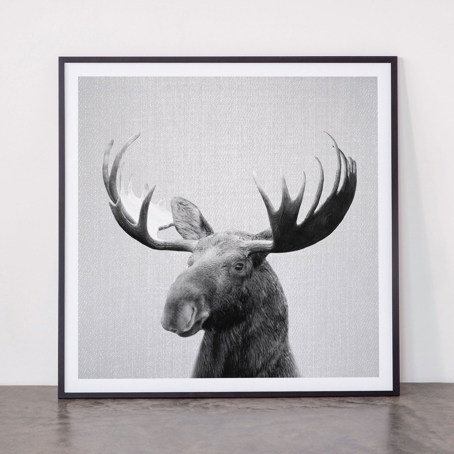 Moose - Black & White Framed Art Print Gallery Image 11