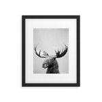 Moose - Black & White Framed Art Print Gallery Image 1