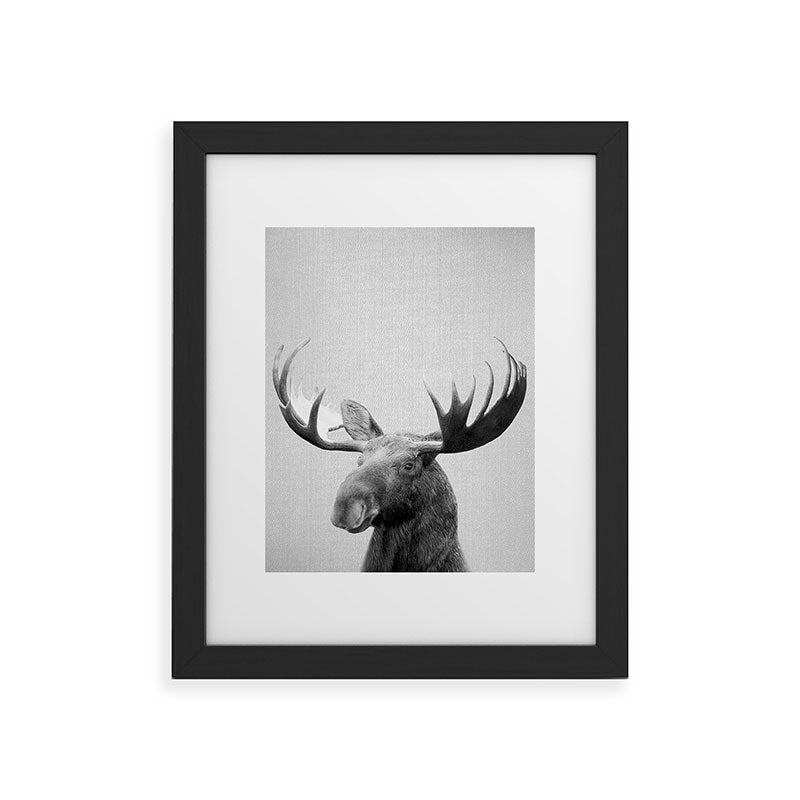 Moose - Black & White Framed Art Print Gallery Image 44