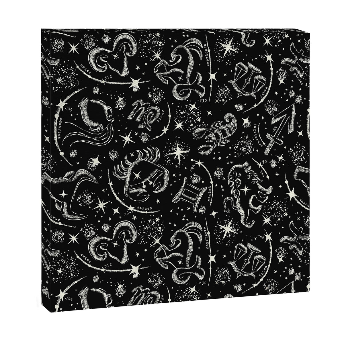 Star Child Canvas Print Gallery Image 2