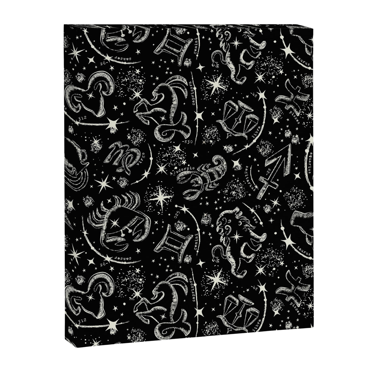 Star Child Canvas Print Gallery Image 8